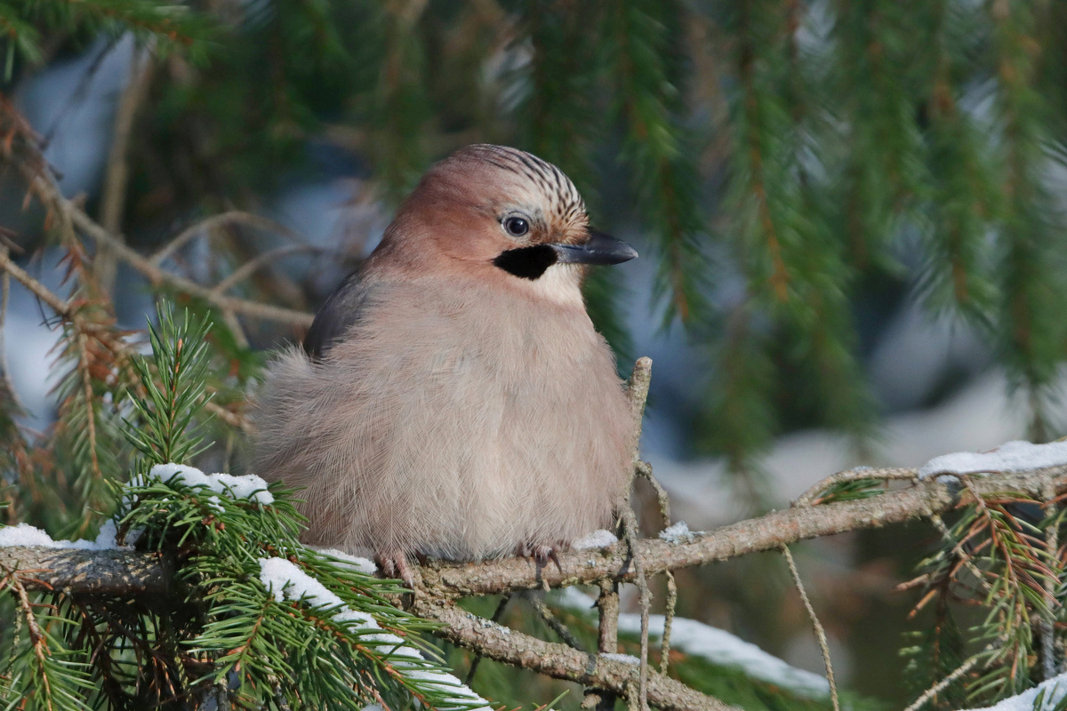Фото Андрея Деева
