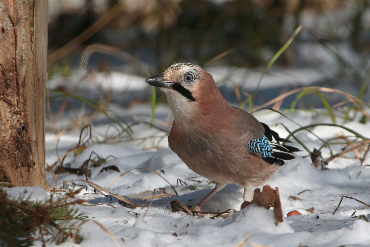 Фото Андрея Деева