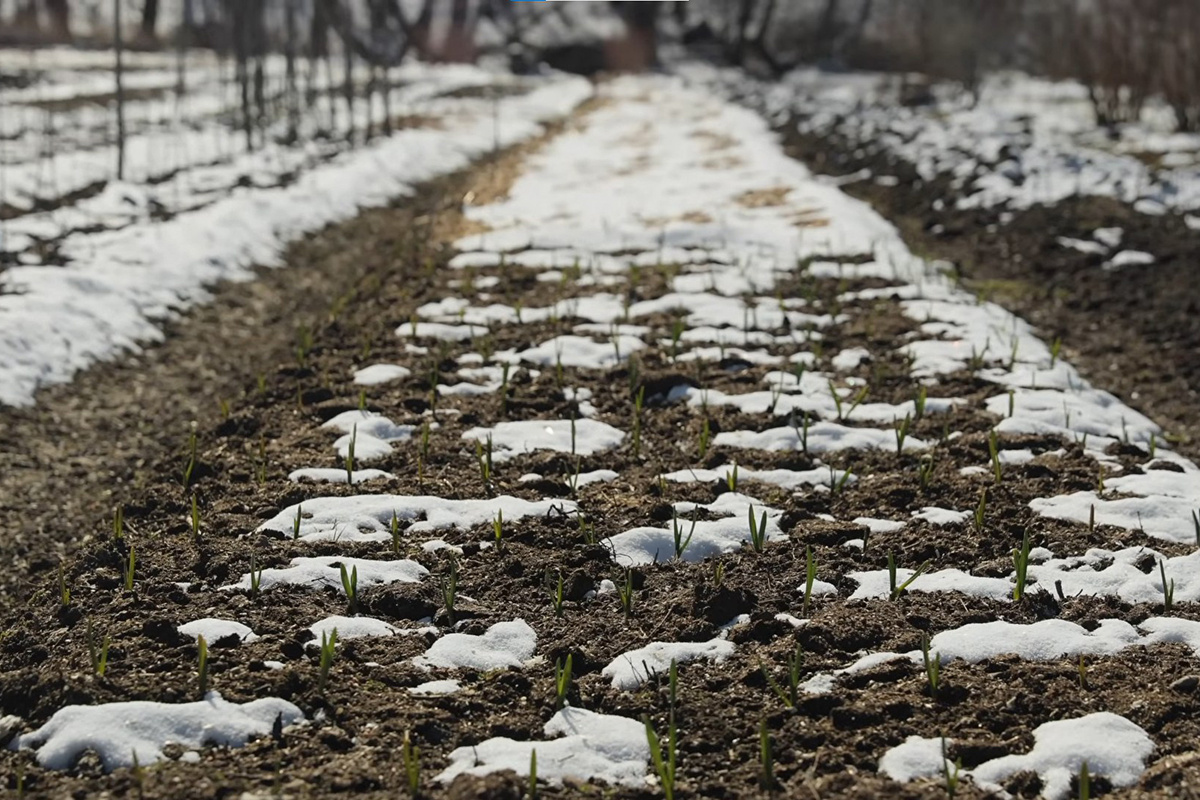 Скриншот видео