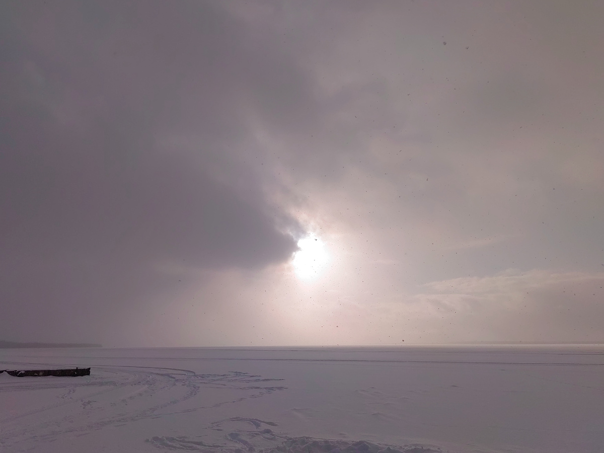 Вид на Нарвское водохранилище от необорудованного  пляжа. 