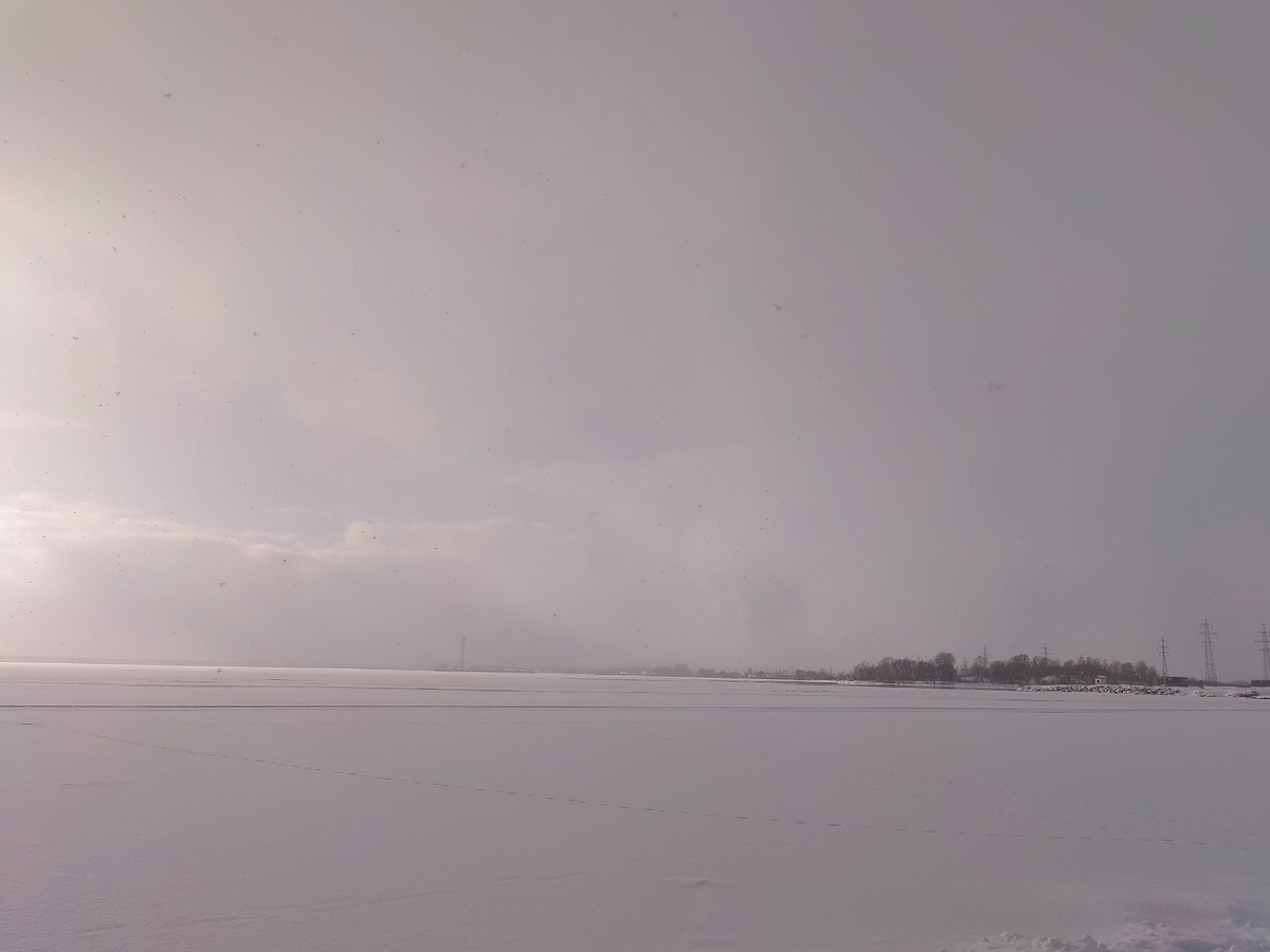 Вышка вдали находится на территории Эстонии. 