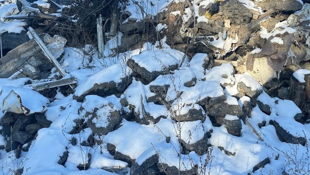    Фото: Росприроднадзор