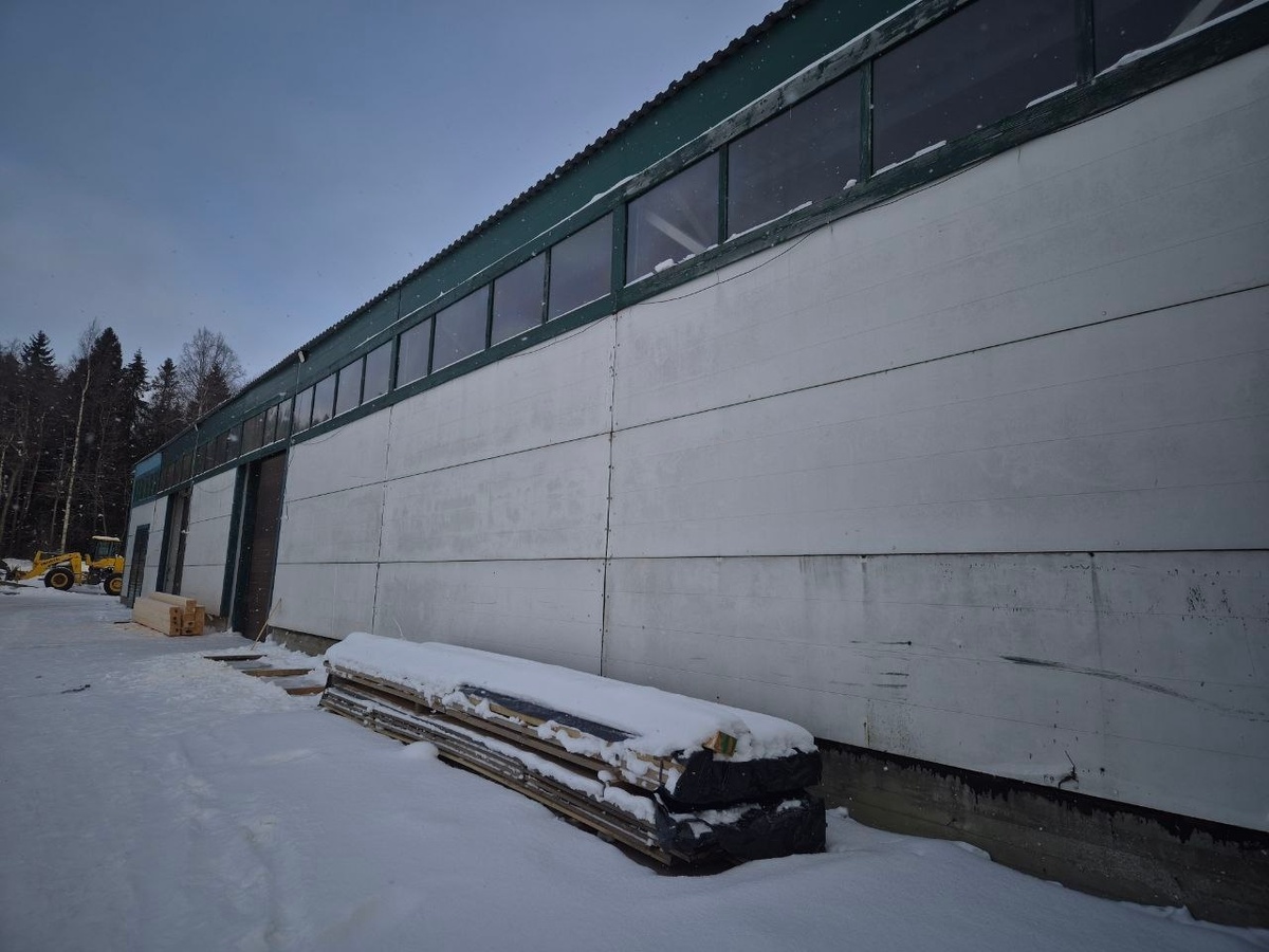 Листайте вправо, чтобы увидеть больше изображений