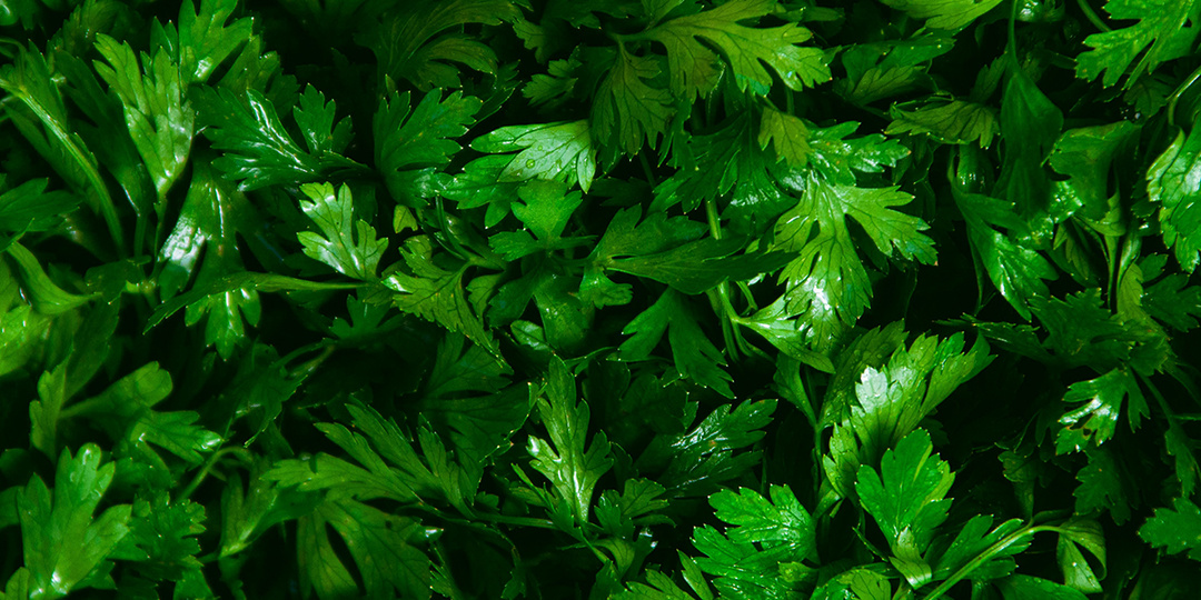 Для чего организму нужна фолиевая кислота и в каких продуктах она содержится