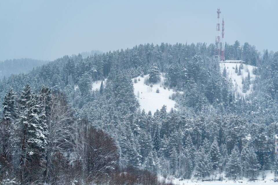    Турочак в разгар зимы. Источник: Андрей Сороко / "Толк"