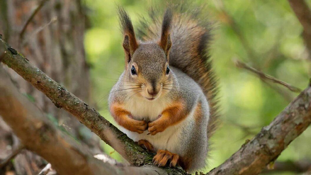    Фото: сгенерировано нейросетью/запрос "Царьграда"