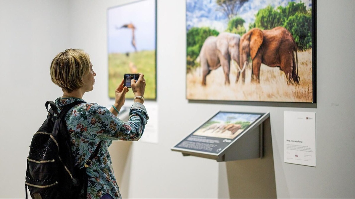    Источник: Пресс-служба Департамента природопользования и охраны окружающей среды города Москвы