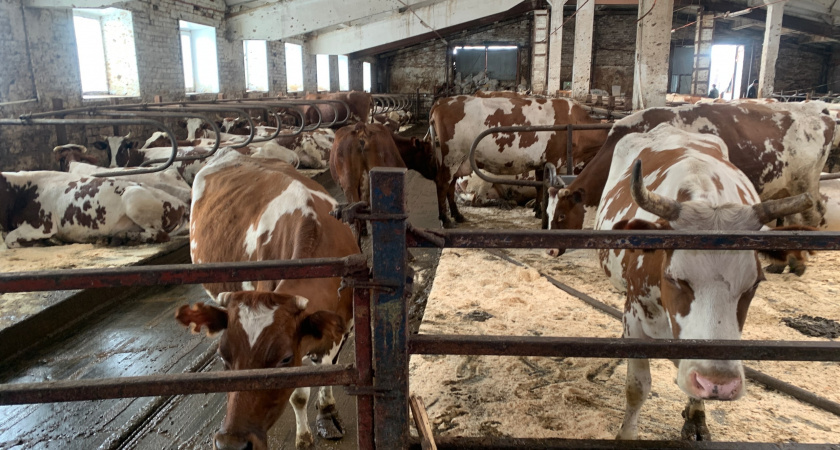    Фото из архива редакции