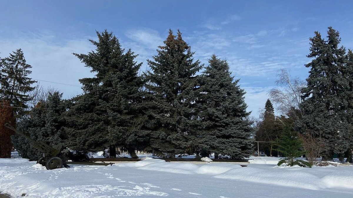    Фото: телеканал «Краснодар»