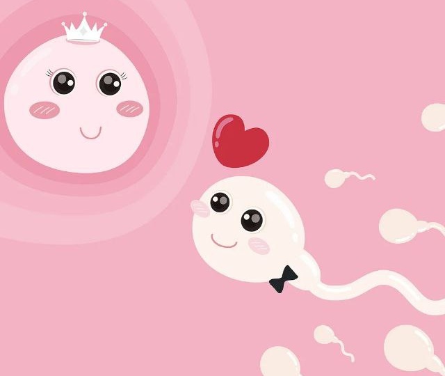 Донорство яйцеклеток и спермы с точки зрения семейных систем