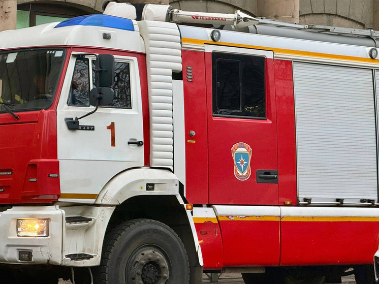    В Великом Новгороде пожарные спасли женщину, кошку и собаку. фото: архив МК в Великом Новгороде