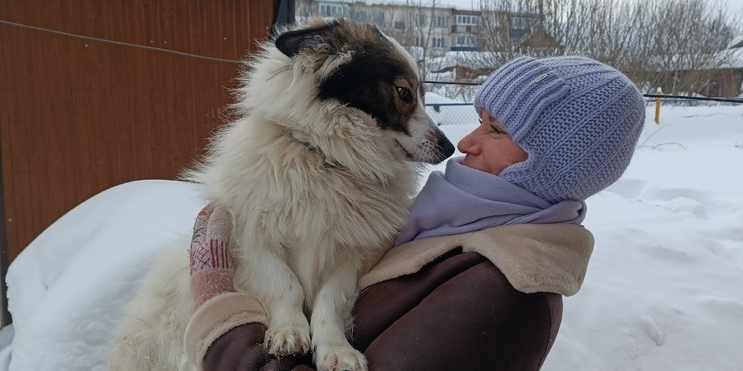 Будни "мехового магнита"