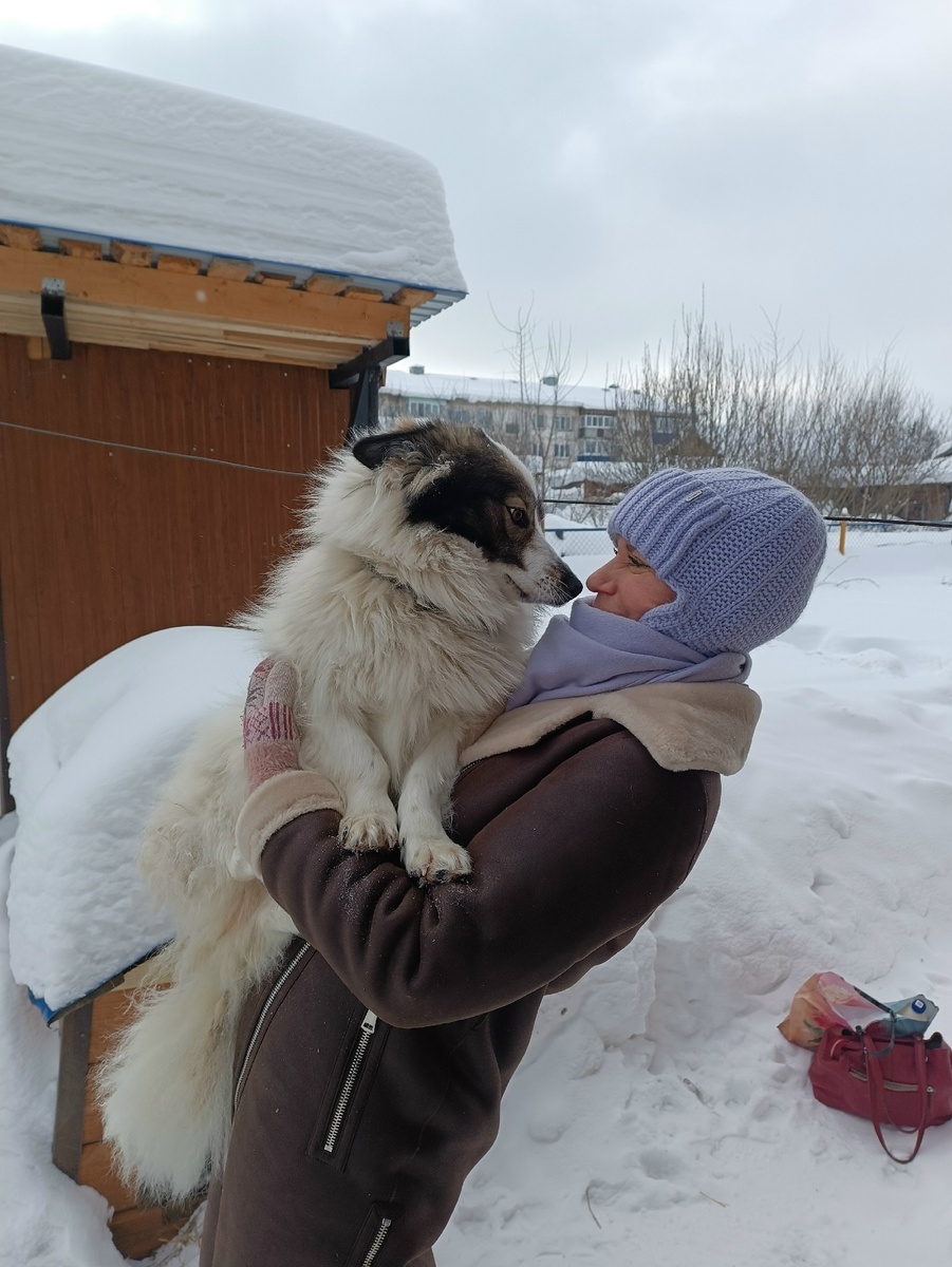 Если на улице грозит какая-то опасность, 20-килограммовая Буся 
отлично выполняет команду «Маме на ручки»