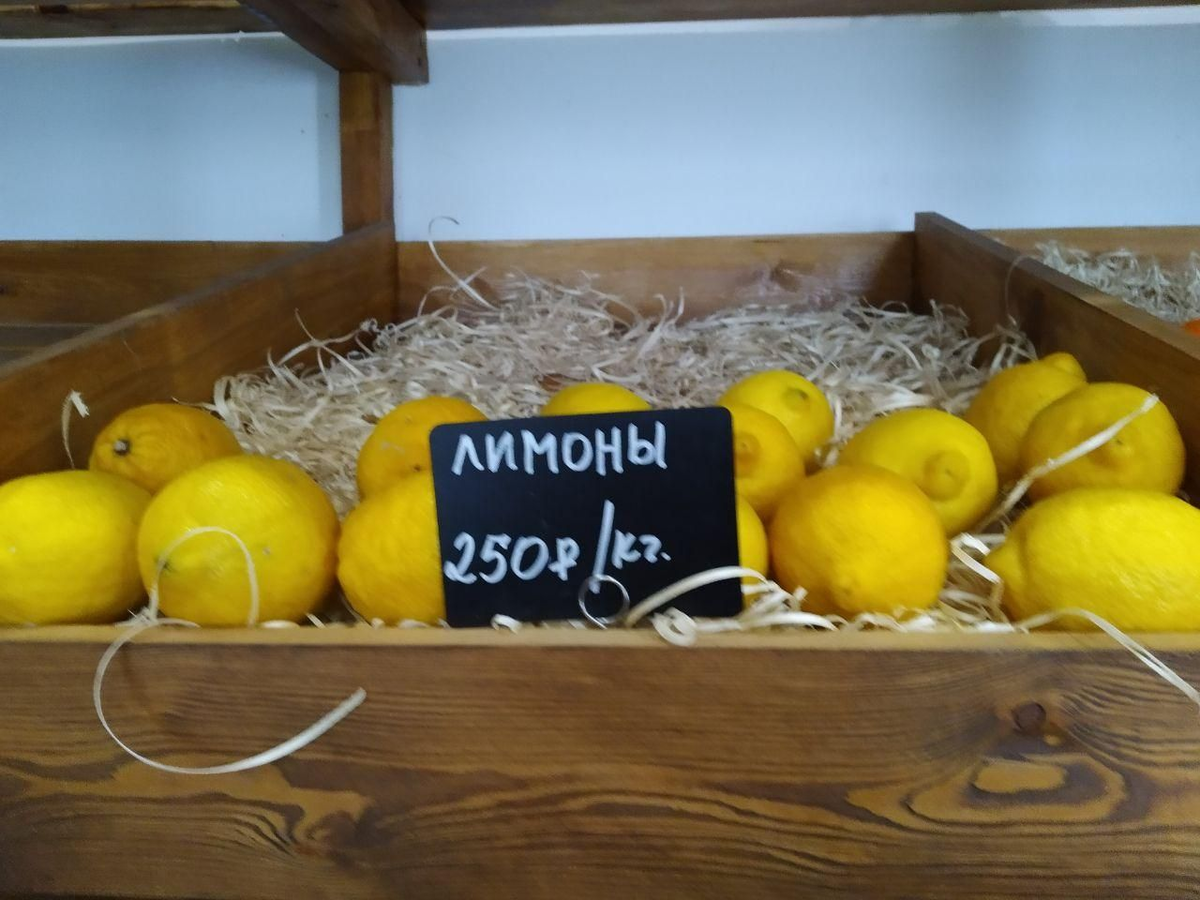 Фото из Ставрополя