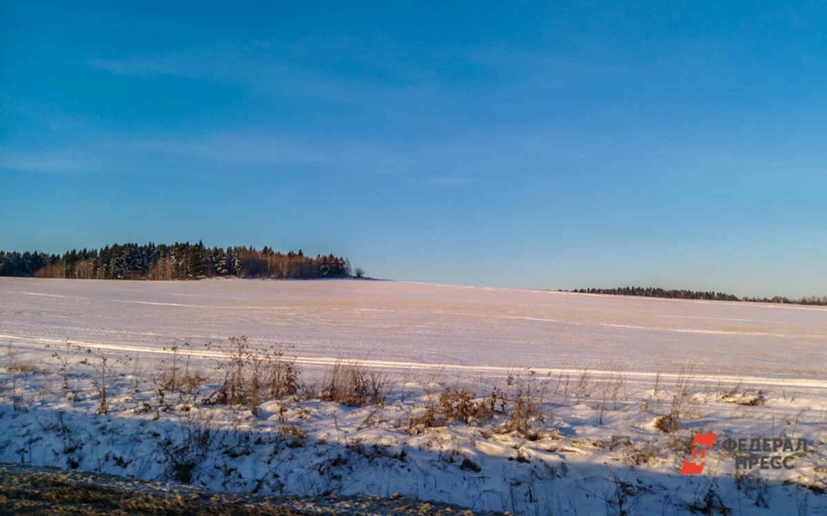 Количество претендующих на предоставление земельного участка ежегодно увеличивается.  Фото: Фото: ФедералПресс / Елена Майорова