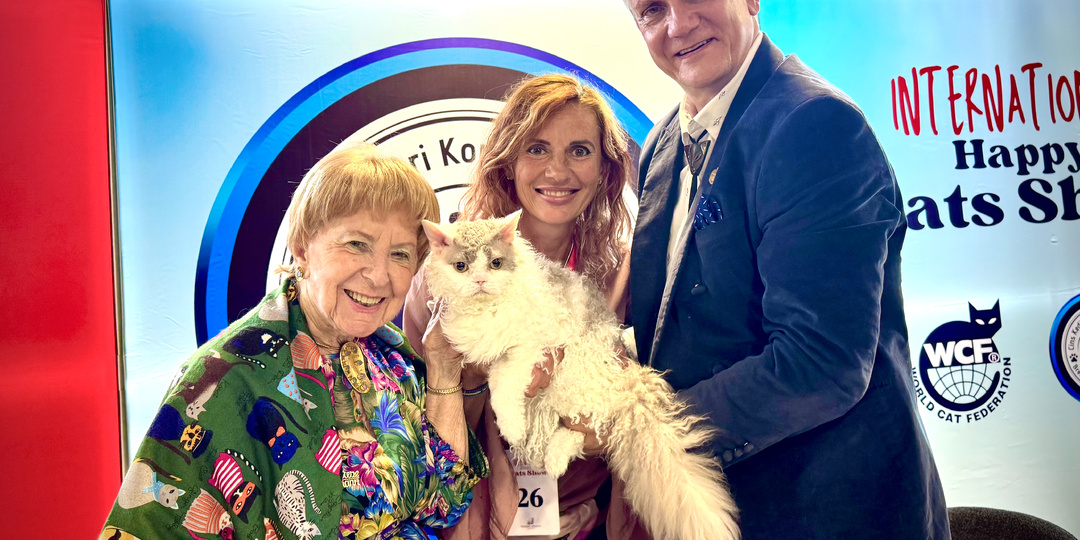 Зефир номер 8 в Топ-15 мира