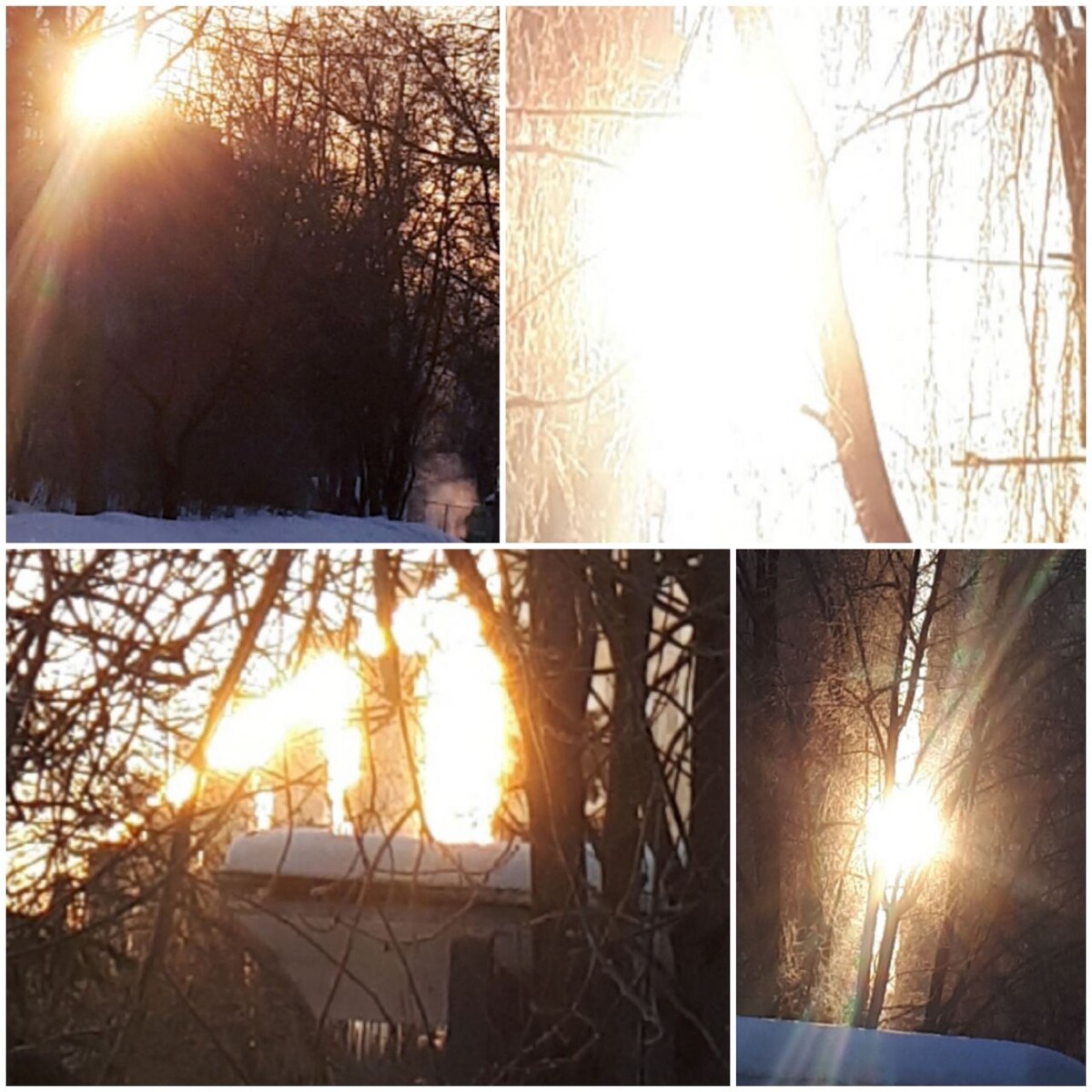 Коллаж автора статьи 18.02.2026г.