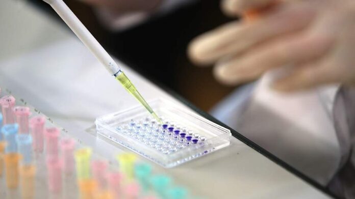    Графическое представление расшифровки ДНК, которая изменила восприятие происхождения и вызвала революцию в этике наследия