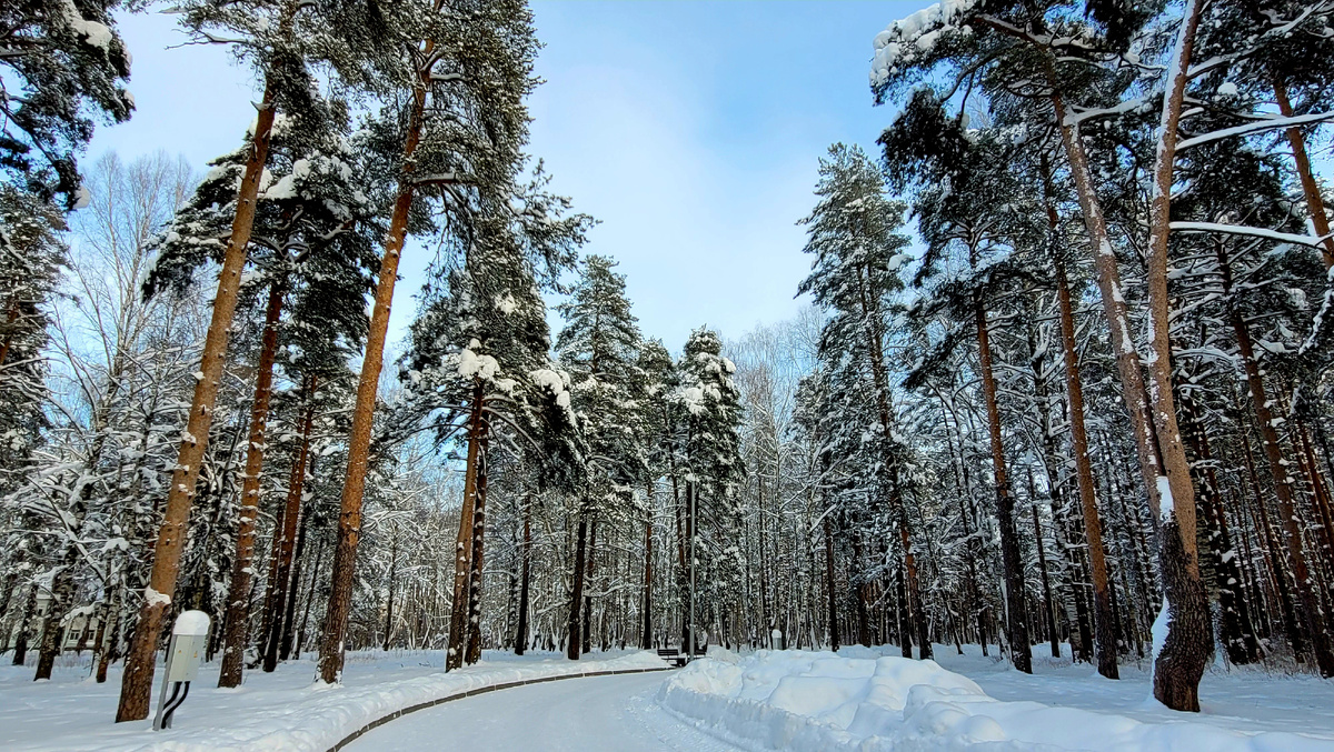 Парк «Берендеевка» 