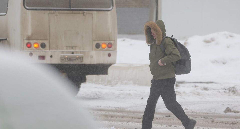    Shatokhina Natalia/news.ru / www.globallookpress.com