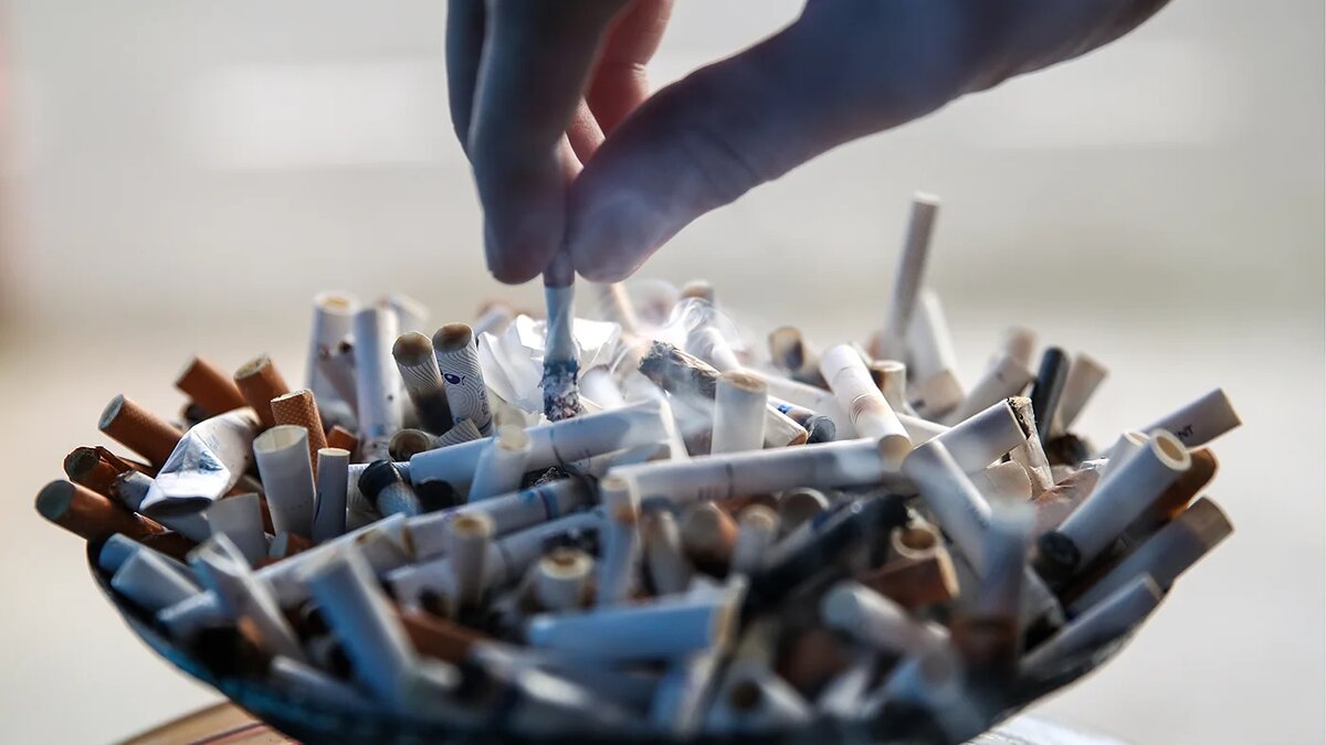   Валерий Шарифулин / ТАСС