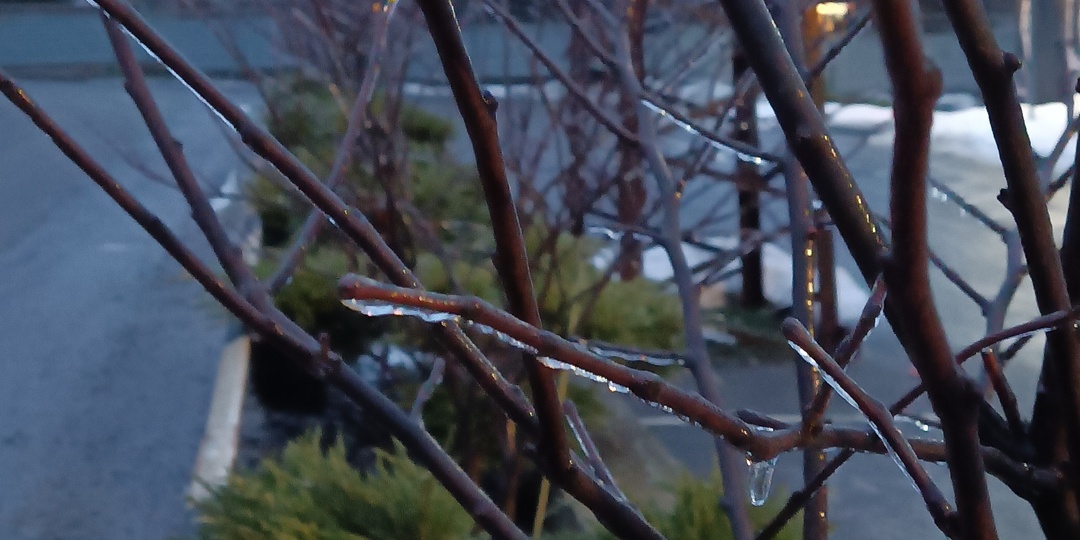 Статья по обмену картин. Весеннее настроение