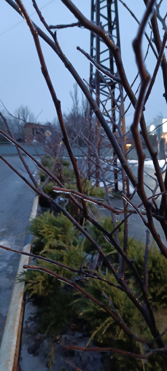 Фотография автора Поспеловой Евгении 