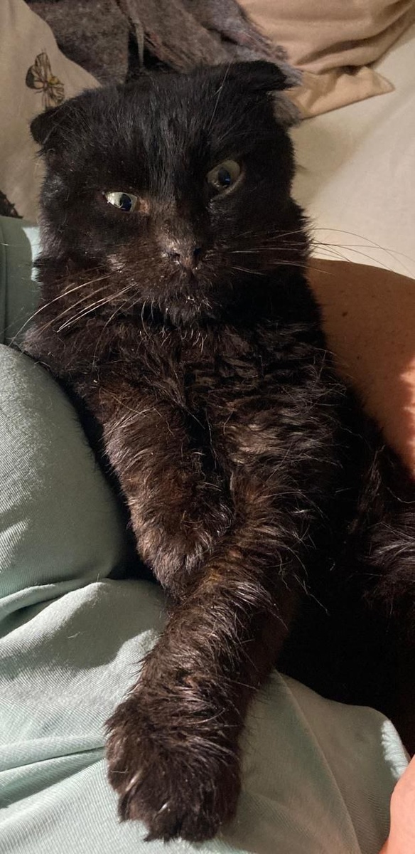 Я Батоша и я пока болею