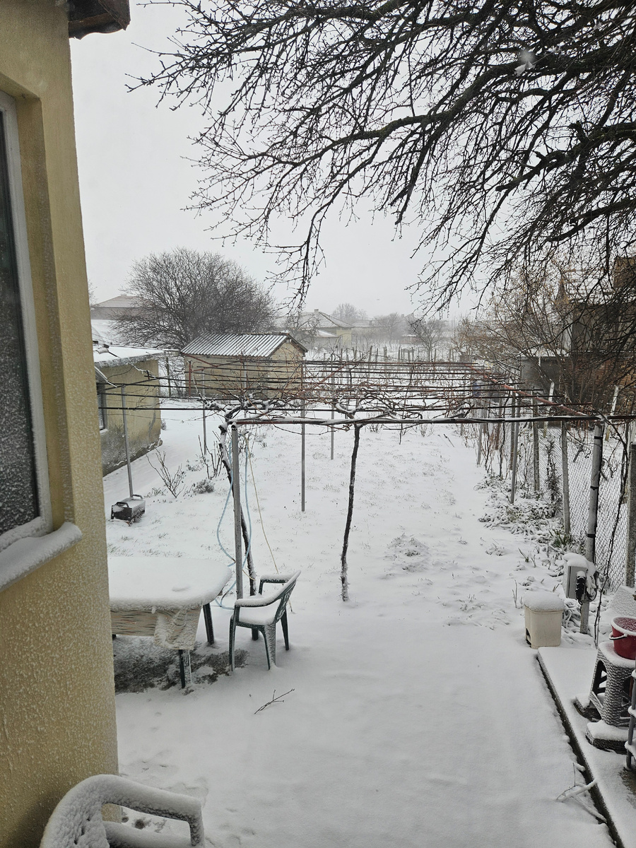 18 февраля 2026