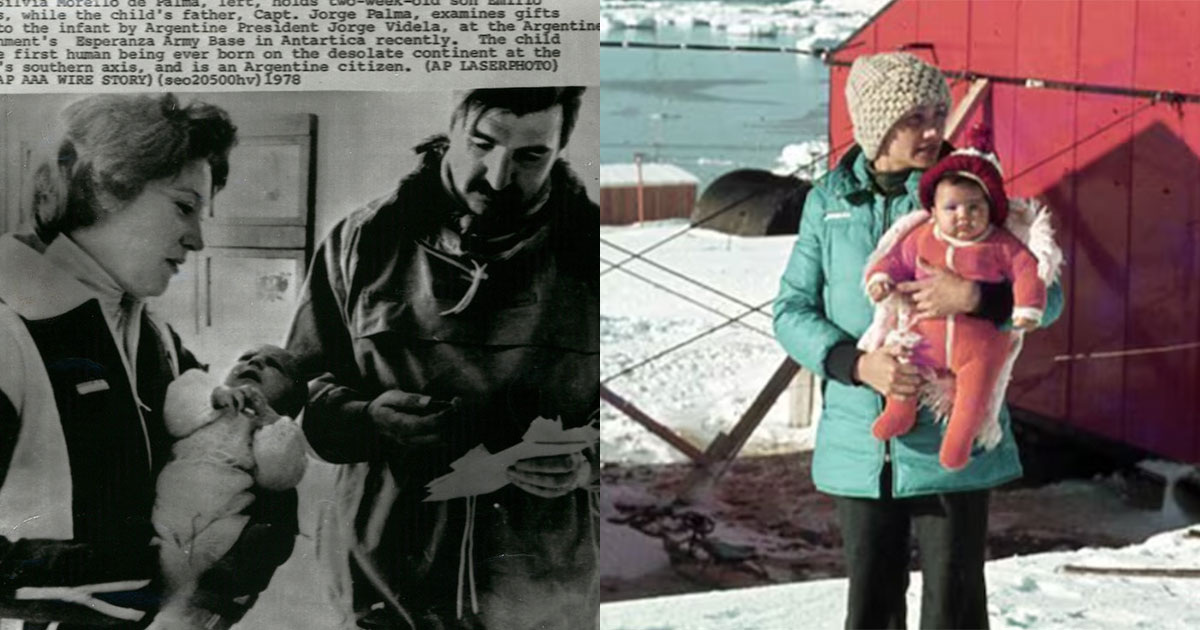 adam.antarcticanz.govt.nz & Marisa Delgado