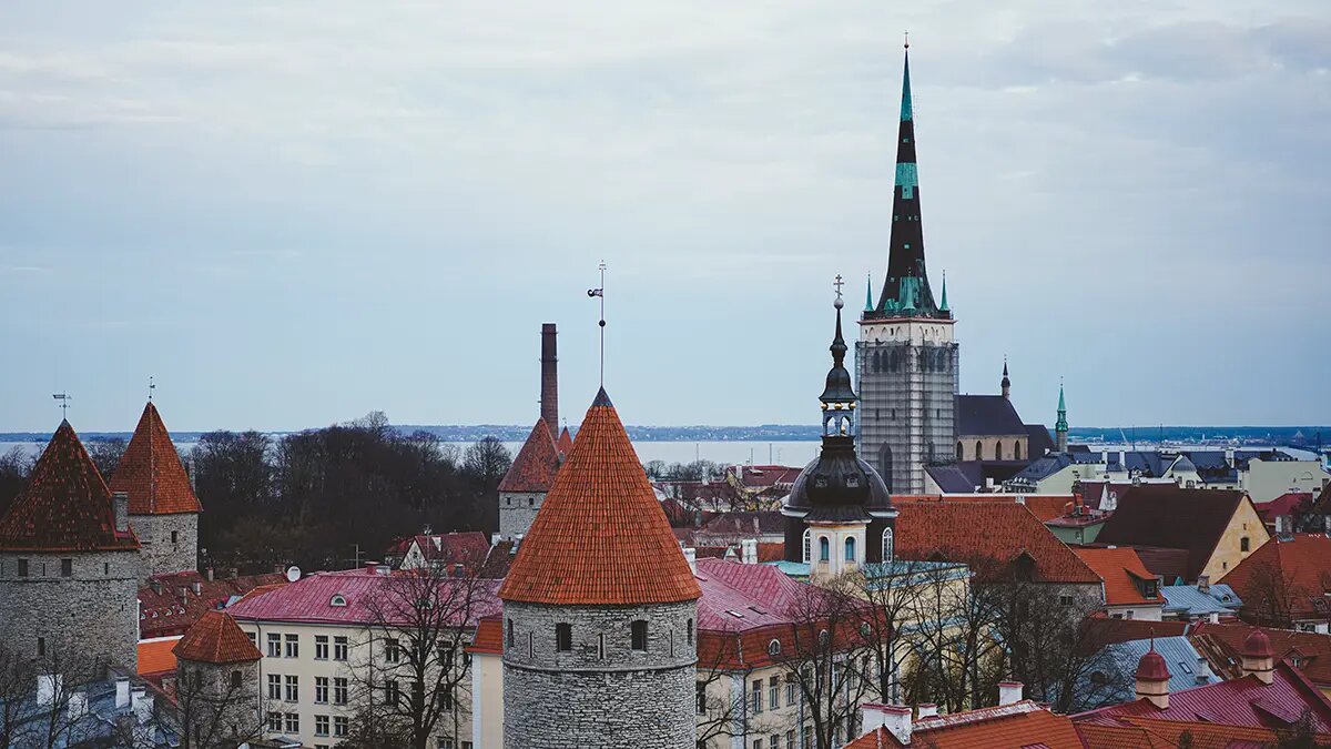    Фото: vm.ru Алла Бородина