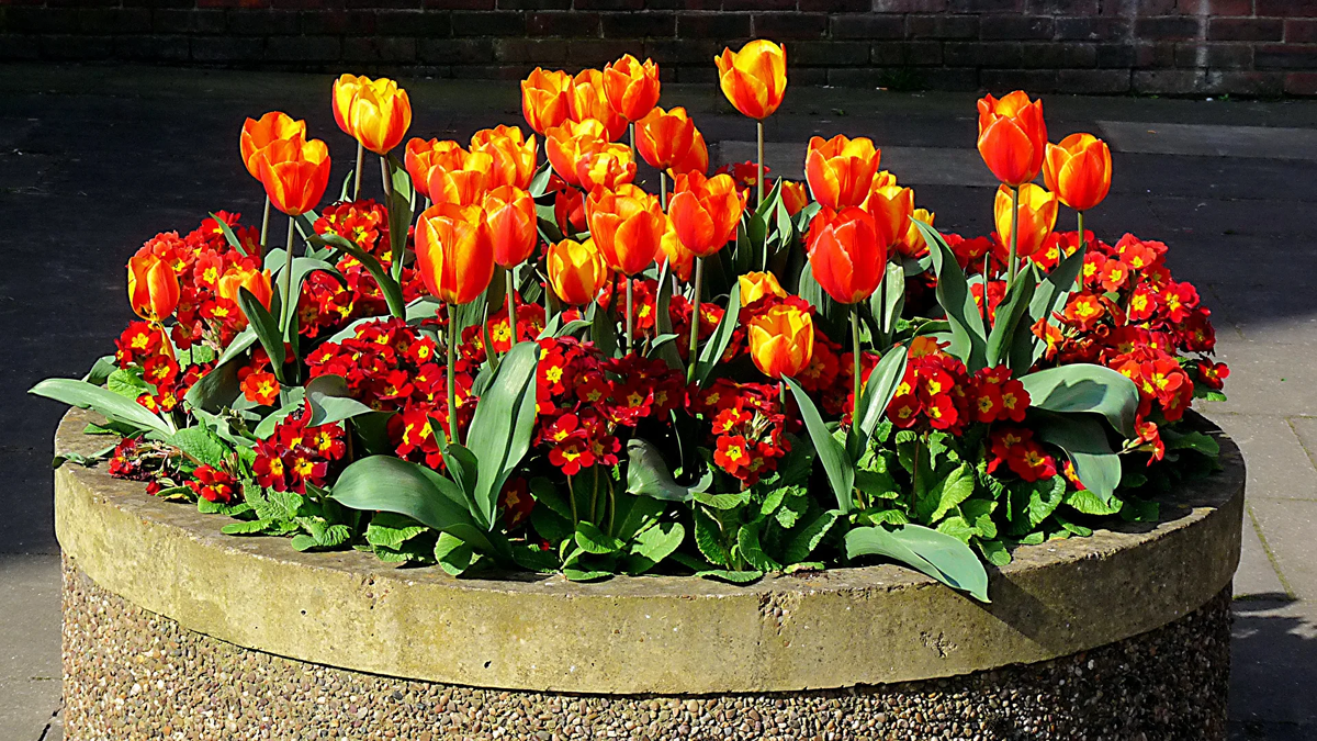 Из открытых источников Яндекс