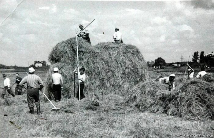 Взято из открытых источников интернета Яндекс.