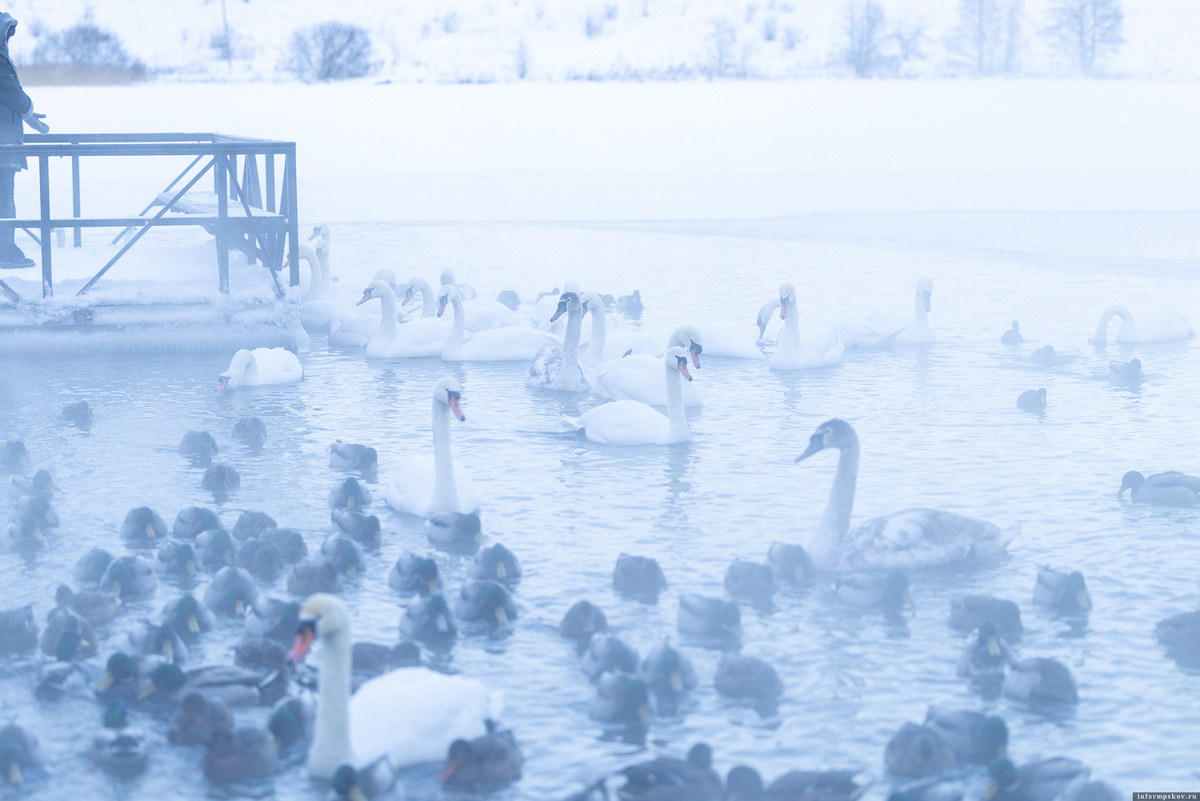 Фото: Екатерина Иванова / ПАИ