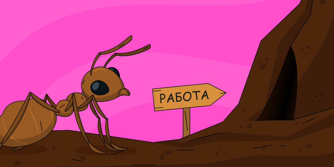 Как оформить на работу сотрудника: пошаговый алгоритм