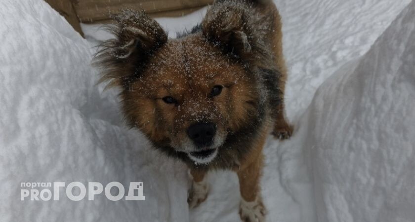    Фото: materinstvo.ru, из архива