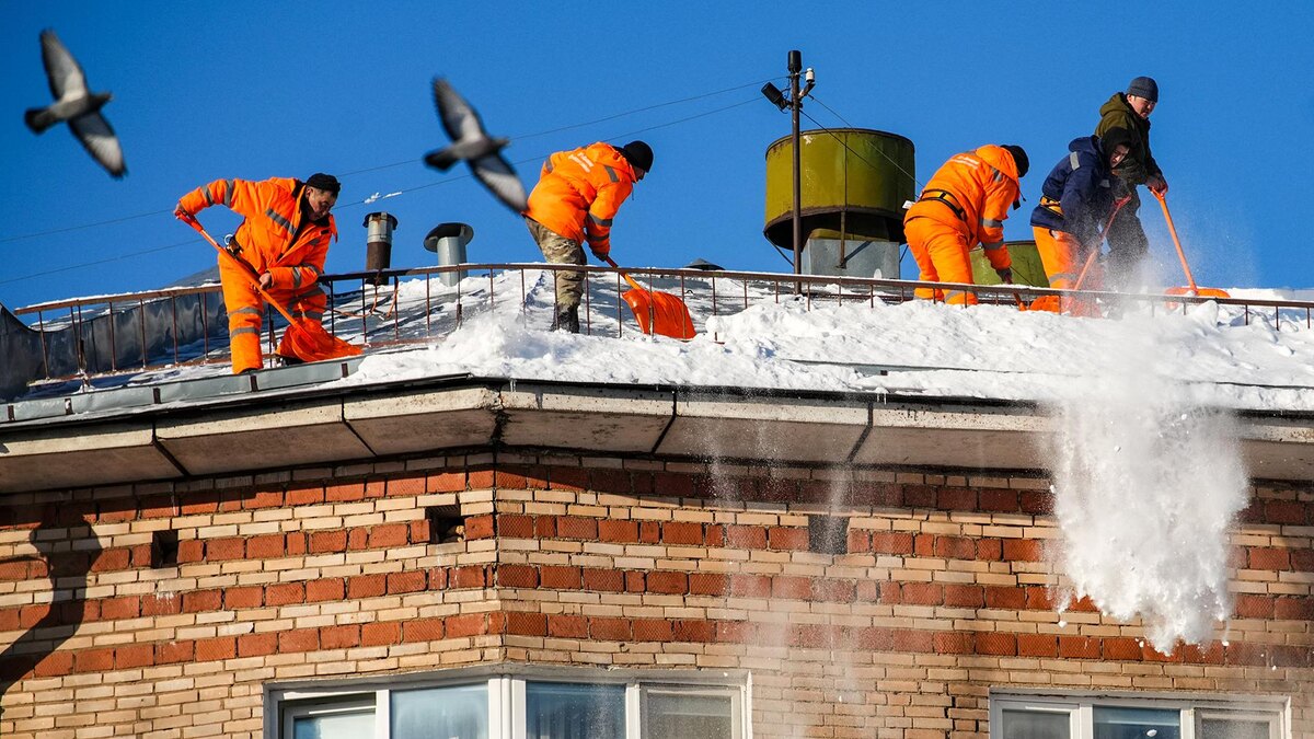    Фото: ИЗВЕСТИЯ/Сергей Лантюхов