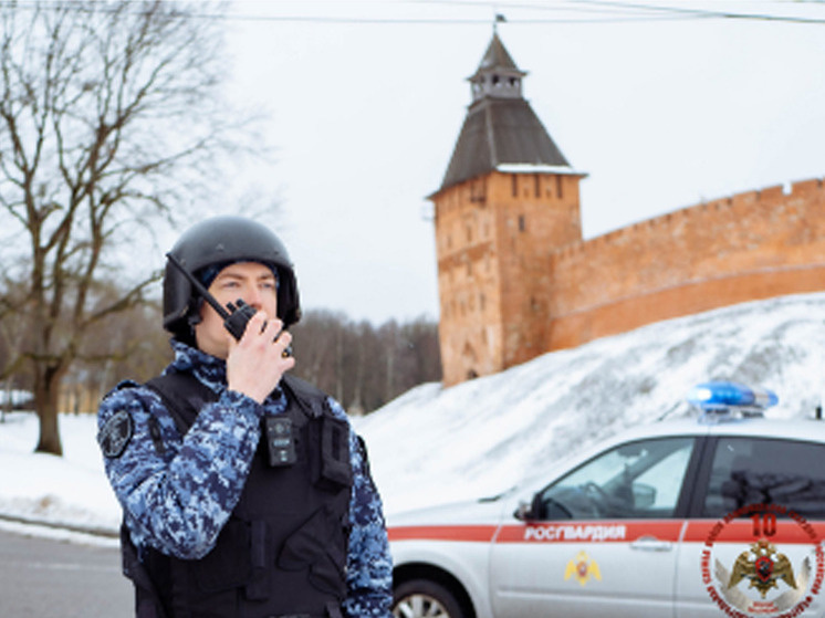     В Великом Новгороде росгвардейцы задержали двух нарушителей порядка. фото: Пресс-служба Управления Федеральной службы войск национальной гвардии Российской Федерации по Новгородской области