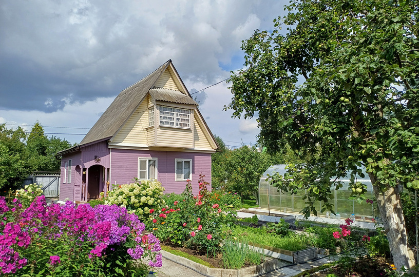 Дачная амнистия — 2026: как не попасть на штрафы и узаконить дом быстро и без проблем