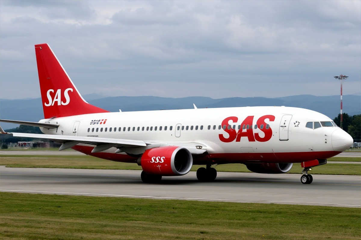    Фото: коллаж RuNews24.ru