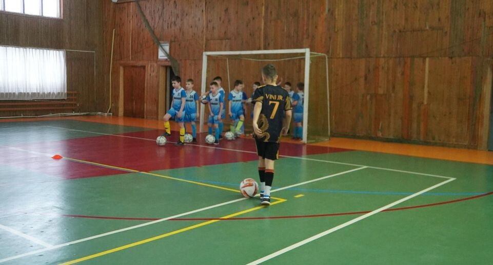    Алёна Притула