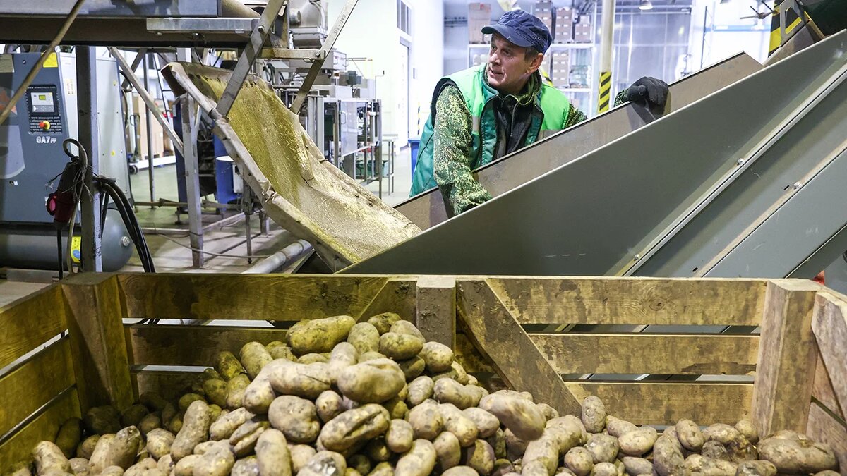   Кирилл Кухмарь / ТАСС- Архивное фото