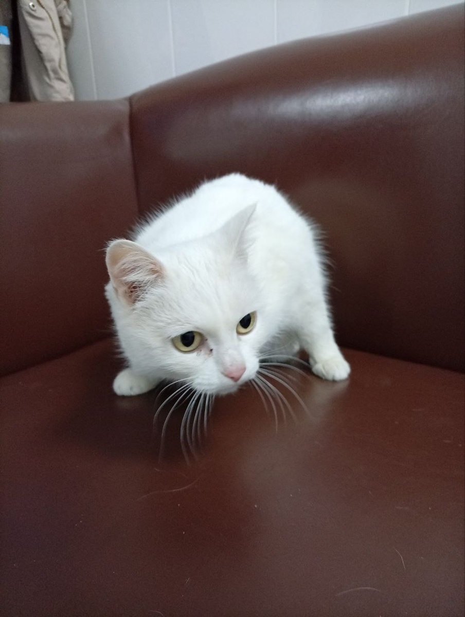 Фото предоставлено нашим врачом.