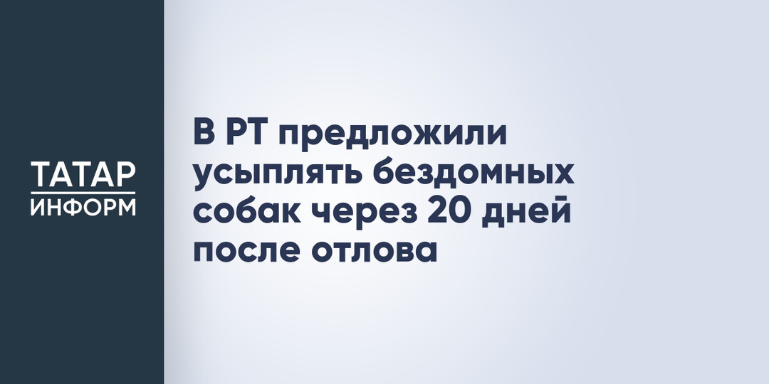 В РТ предложили усыплять бездомных собак через 20 дней после отлова