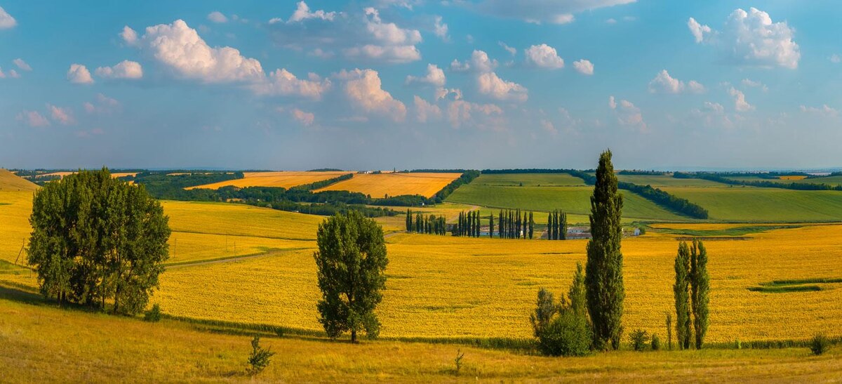 Краснодарский край