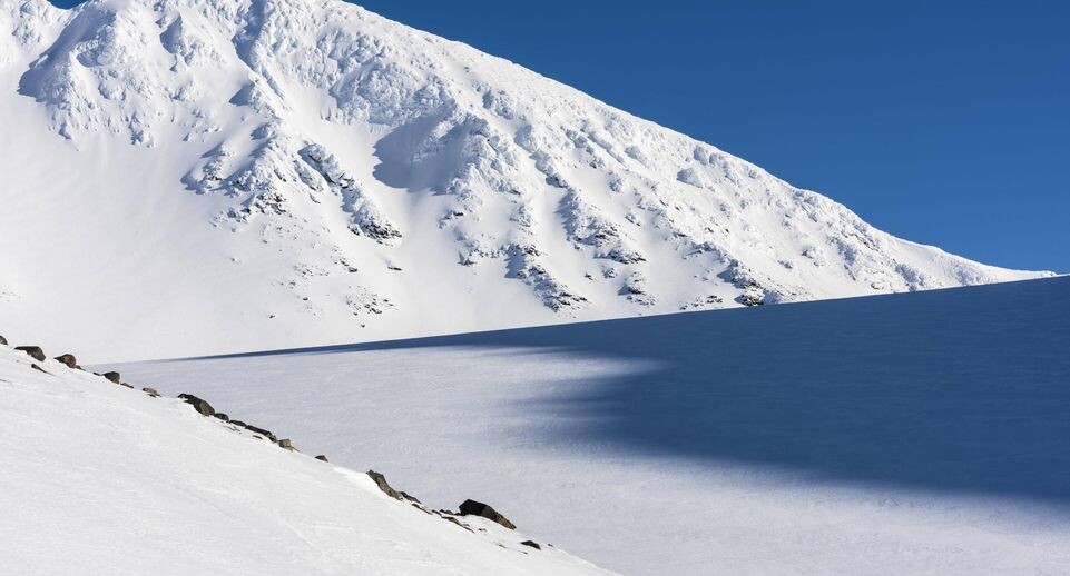    imago stock&people / www.globallookpress.com