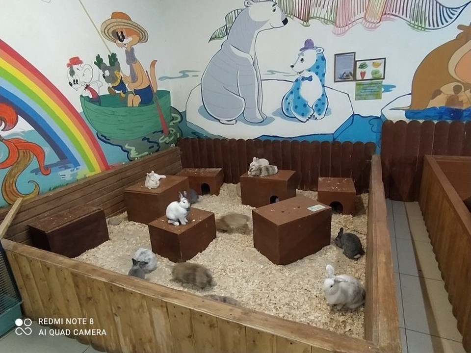    Фото: Уральское межрегиональное управление Россельхознадзора.