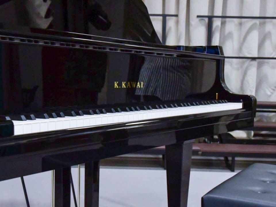    Подмосковье сегодня/Роман Малышенко