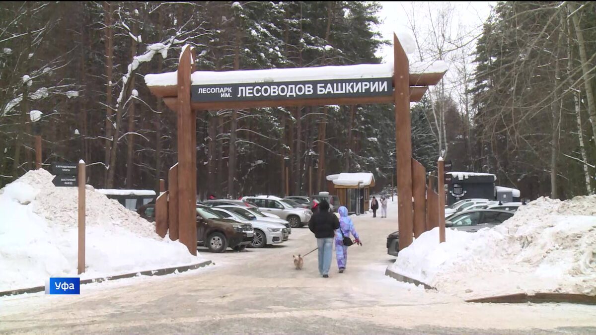    Парк имени Лесоводов Башкортостана в Уфе отметит свое 60-летие