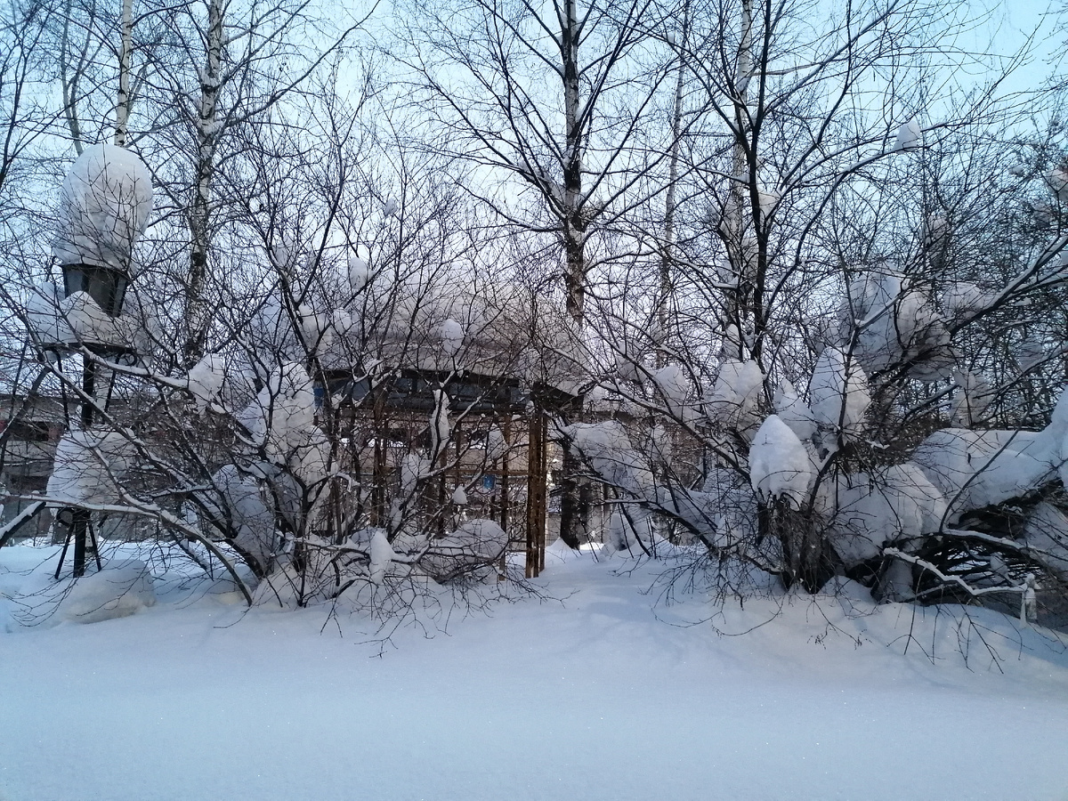 Фото автора. У нас все ещё суровая зима. 